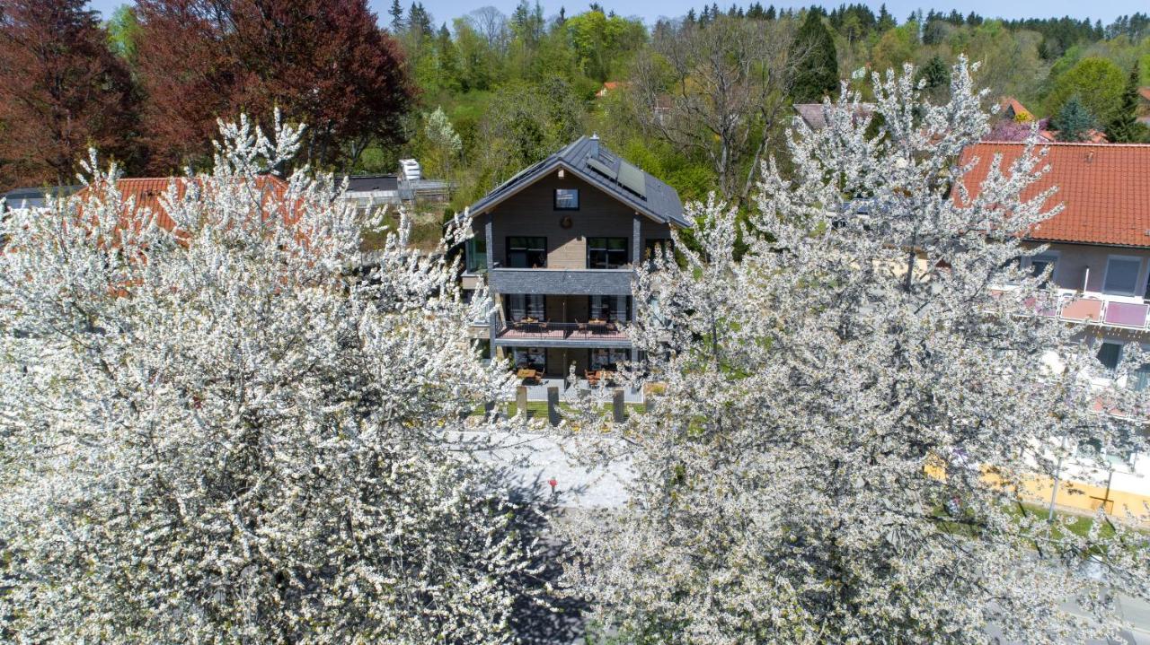 Invita Natur-Chalets Penthouse - Familienurlaub Im Schwarzwald - 240Qm Bad Durrheim Bagian luar foto